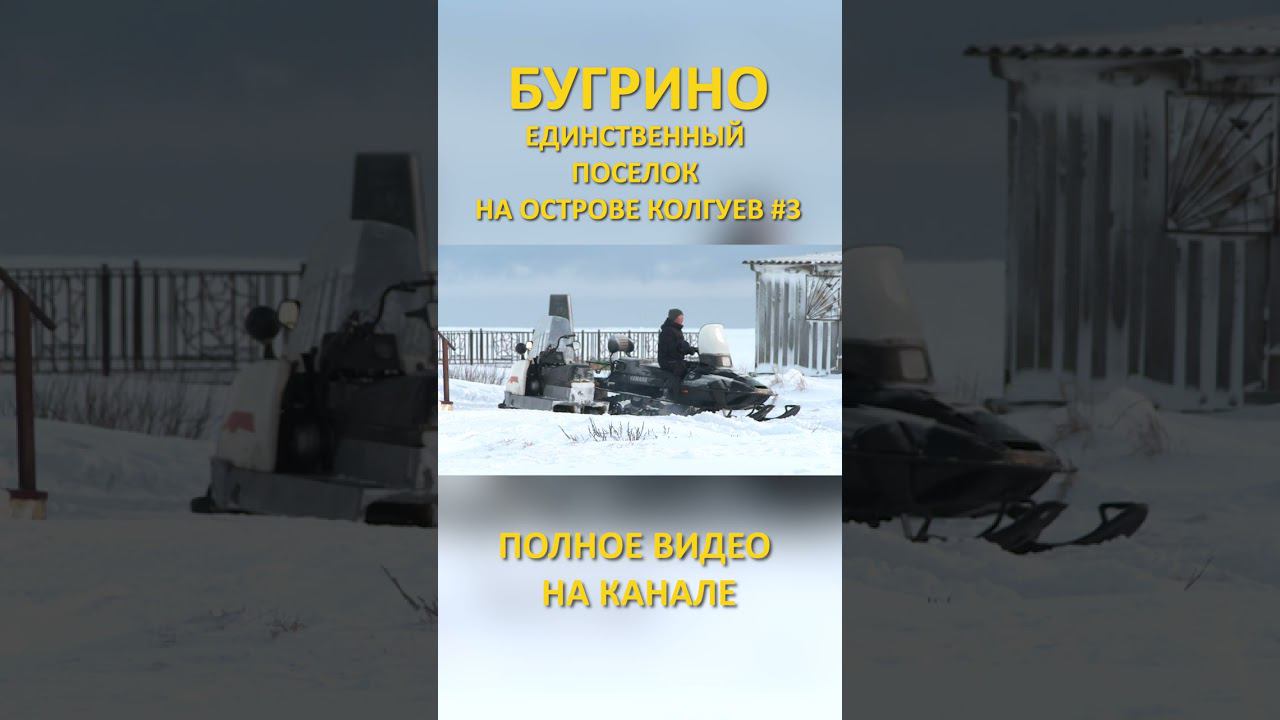 БУГРИНО КОЛГУЕВ 3 SHORTS #SHORTS смотреть онлайн