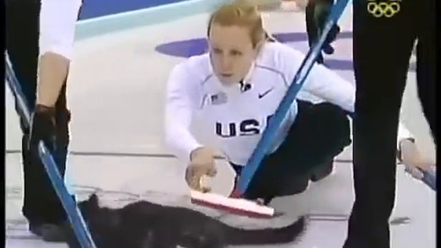 Керлинг с котами Olympic Cat Curling ! Олимпиада среди котов смотреть онлайн