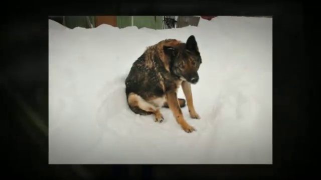 Простой и элегантный. Классика. Видео из фото. смотреть онлайн