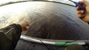 Крупная плотва с лодки в отвес!