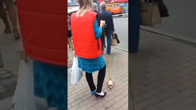 Ржака девушка и питомец дохлая курица смотреть онлайн