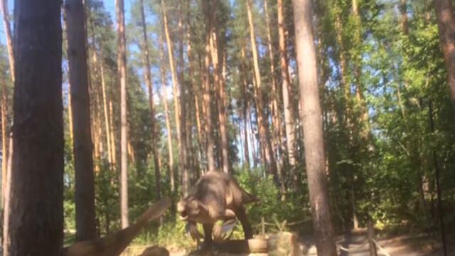 ДиноПарк Белгород смотреть онлайн
