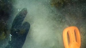 Подводный поиск с системой Хука