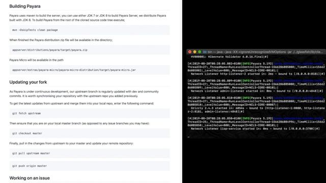Contribute Code and Help Develop the Payara Platform смотреть онлайн
