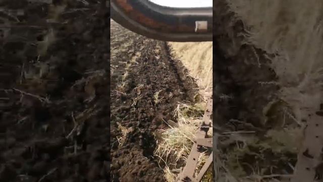 Всашка зяби на ЮМЗ 6Л, старичек ещё может!!! смотреть онлайн