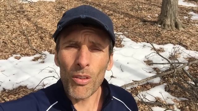 How To Tap a Sugar Maple Tree - Harvesting Maple Water смотреть онлайн
