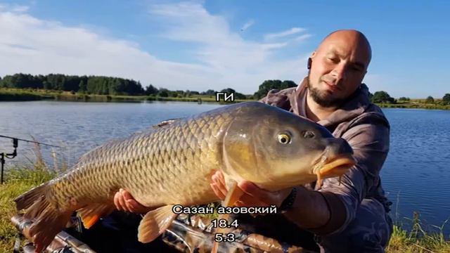 Калории - Сазан смотреть онлайн