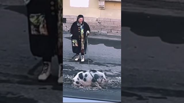 Солнце греет, хрустит реагент, тает снег, говной воняет… #весна2023 #веснапришла смотреть онлайн