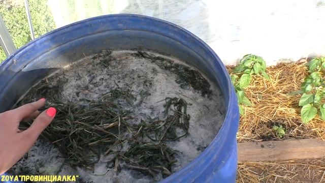 Что и Как в теплицах!?! Как приготовить удобрение для растений/ #greenhouses #fertilizer смотреть онлайн