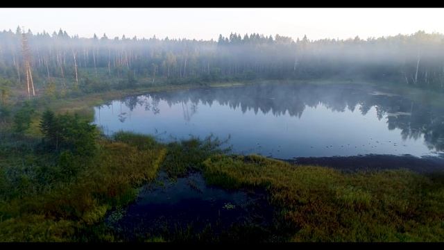Estonia. Ida-virumaa. Kurtna järved. Kastjärv. смотреть онлайн