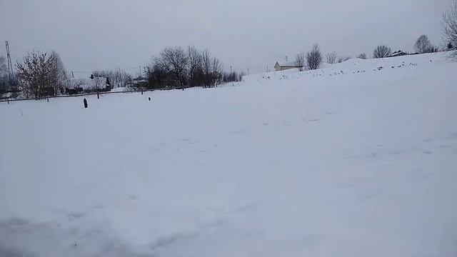 Поздравляю всех мужчин с 23 февраля! #23февралявдеревне,#февральвдеревне,#поздравлениес23февраля. смотреть онлайн