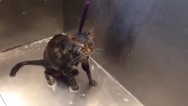 Не надо больше!!! смотреть онлайн