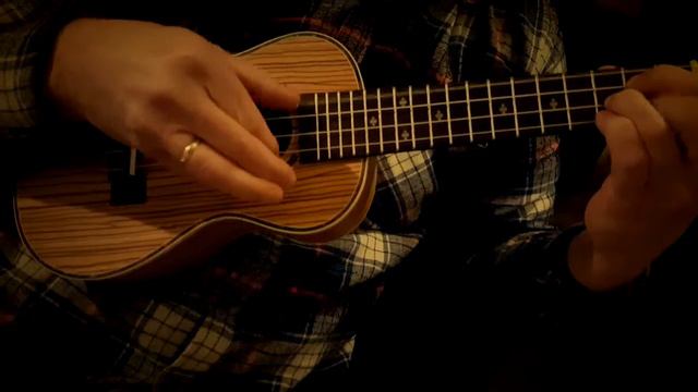 With a little help from my friends Hanknn concert ukulele смотреть онлайн