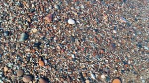 Камешки Балтийского моря