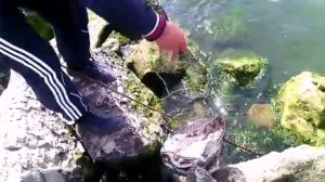 Рыбалка в Махачкале