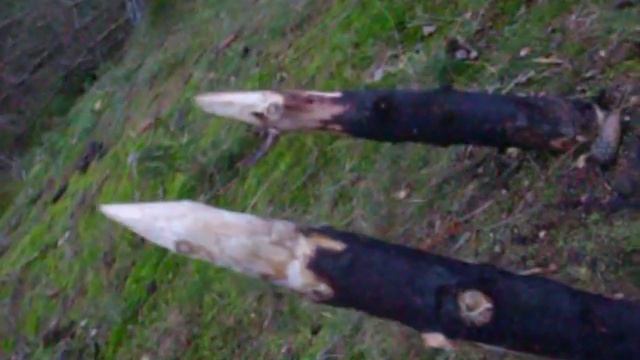 Группа Обороны Леса.avi смотреть онлайн