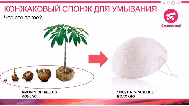 Конжаковый спонж и скраб тренды 11 каталога смотреть онлайн