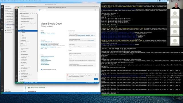 How to run a peer in devmode in Hyperledger Fabric смотреть онлайн