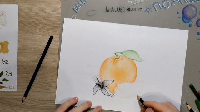 Как нарисовать апельсин/Speedpaint смотреть онлайн