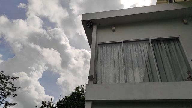 Выпал из гнезда, воробушек смотреть онлайн