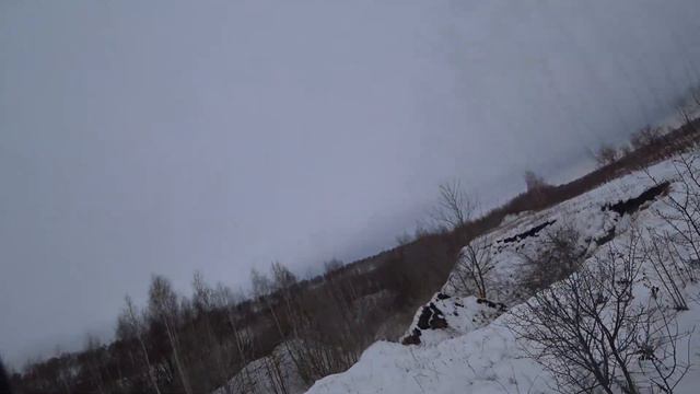 Удачная охота с русскими гончими 19 11 22 г