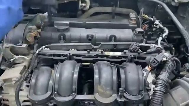 Двигатель Ford для Focus III 2011-2019