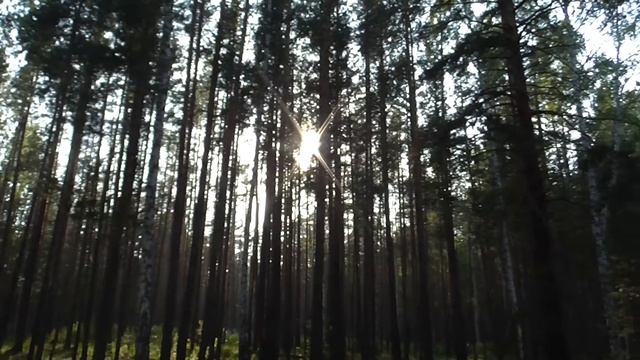 Сугомакская пещера и гора. Каолиновый карьер. Лето 2019. смотреть онлайн