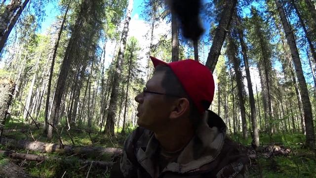 Продолжаю собирать кедровые шишки. Отдыхаю в Евро избе. 6 серия /Поход Сенокос 2022/ смотреть онлайн