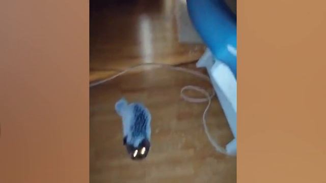 binbag смотреть онлайн