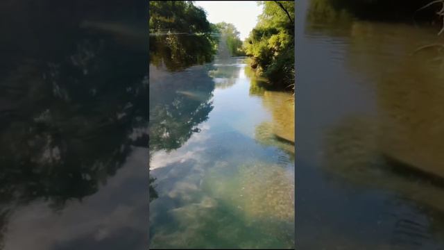 Мысли под контролем