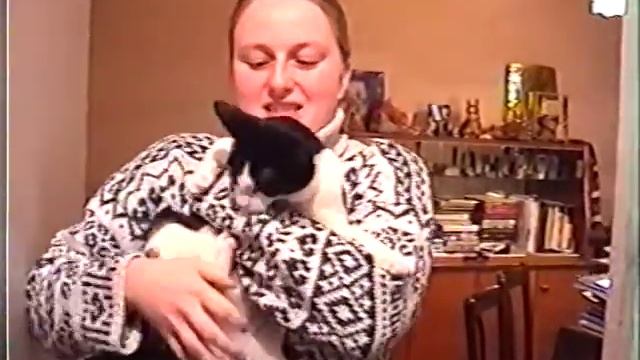 ф.Сонатина кота Гриши смотреть онлайн