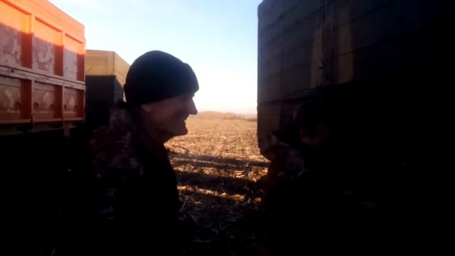 последний день свеклы смотреть онлайн