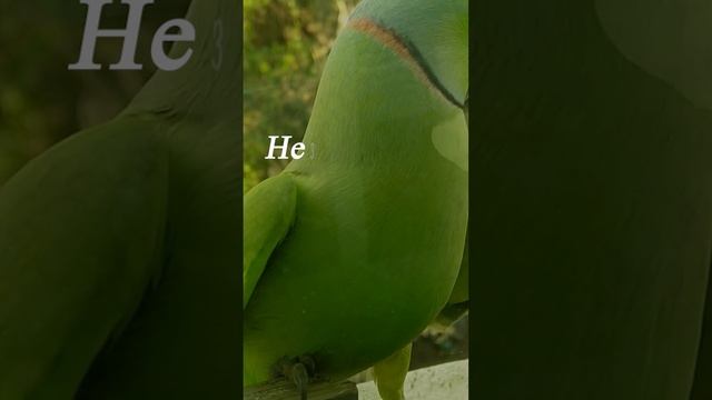 Ты где? смотреть онлайн