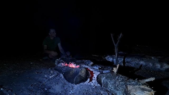 СЕЛИГЕР АВГУСТ ДЕНЬ ОДИННАДЦАТЫЙ смотреть онлайн