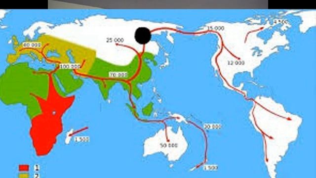 Почему монголоиды низкорослые, но с большой головой смотреть онлайн
