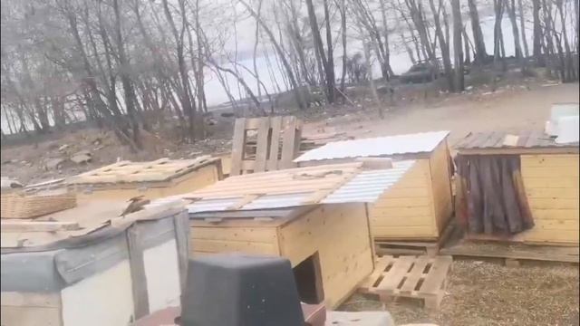 Айза и Росси || Сказ о добром Человеке || Озорник Реюшка. ? смотреть онлайн