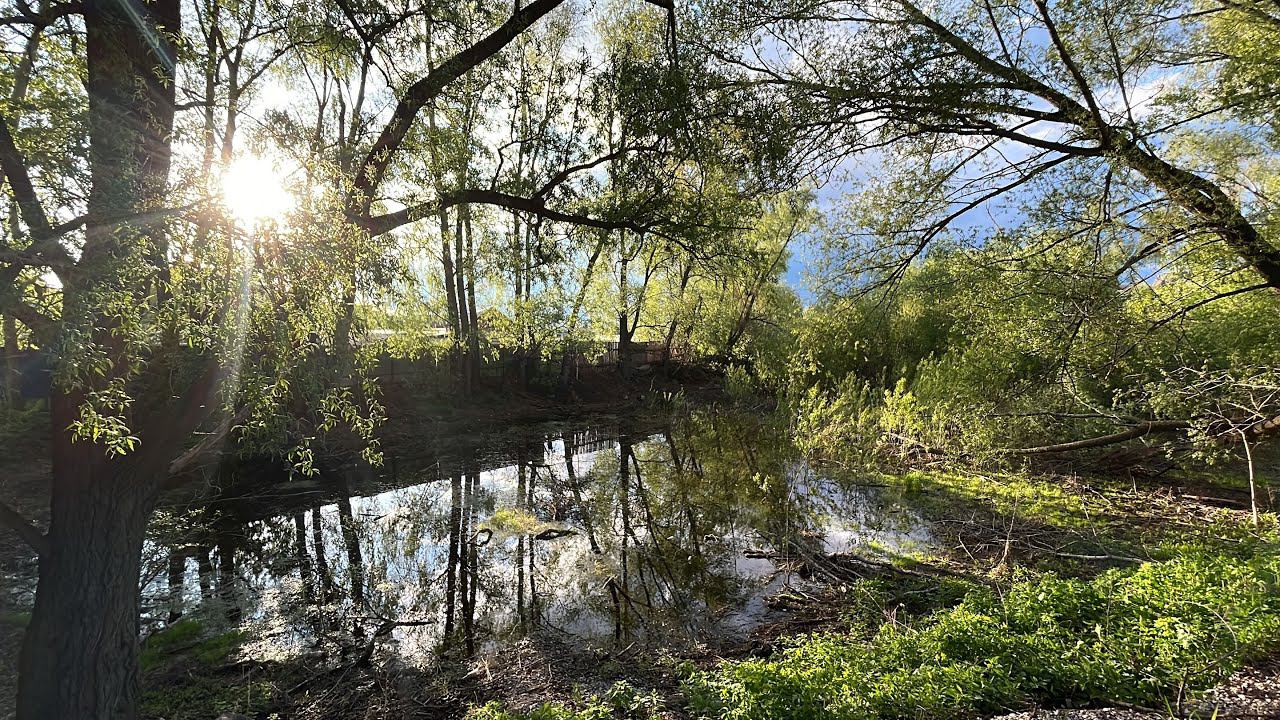 Наш замечательный день с семьей// Поехали в Ишеево смотреть онлайн