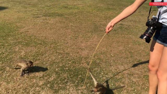 Таиланд на авто 2018 - день 9