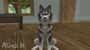 WildCraft Прикол |Продуктовый список|