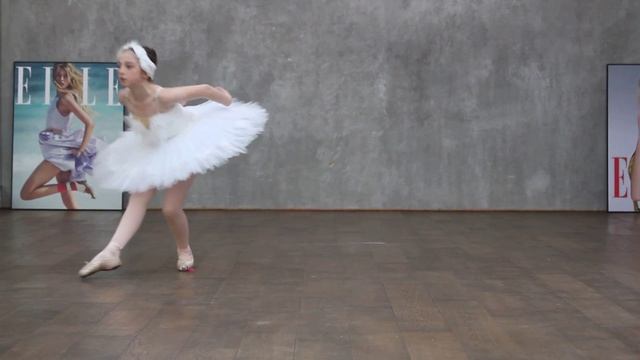 Умирающий лебедь смотреть онлайн