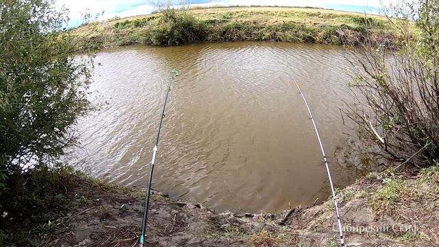 Рыбалка на реке Каргат смотреть онлайн