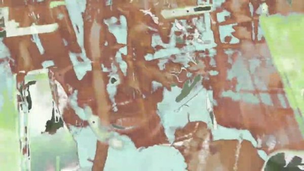 Molly (Mindless Self Indulgence Cover)