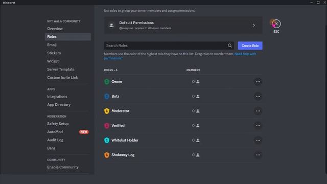 How to create Professional discord professional server for NFTs UrduHindi 2023 смотреть онлайн