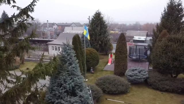 #стрижкаголубойели #стрижкаели #обрезкаели #tree #topiary Стрижка голубой ели. смотреть онлайн