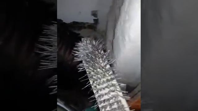 Чистка теплообменника. ТЕМА: дровяная печь на воду. смотреть онлайн