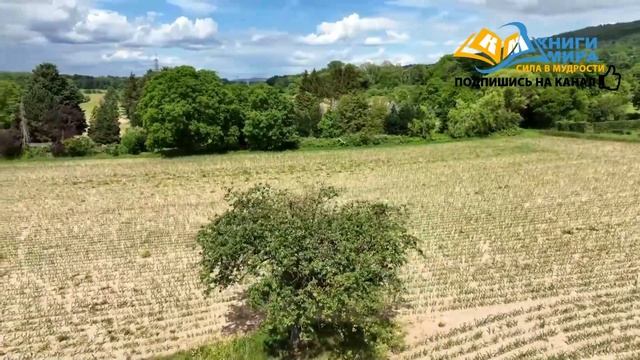 Исцеление Людей На Практике! Все Тонкости и Нюансы Учения От Великой Целительницы Зоси смотреть онлайн