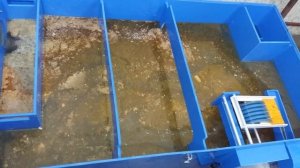 Новинка! Жироуловитель «Автосбор»