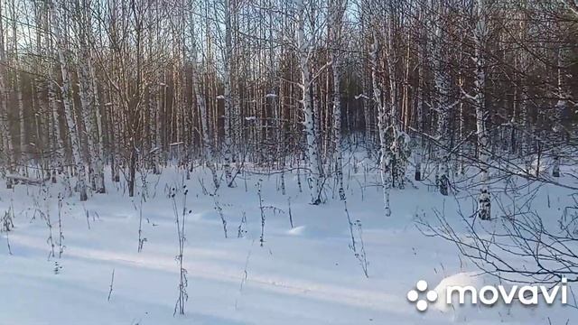 не вышло поставить петли на зайца смотреть онлайн