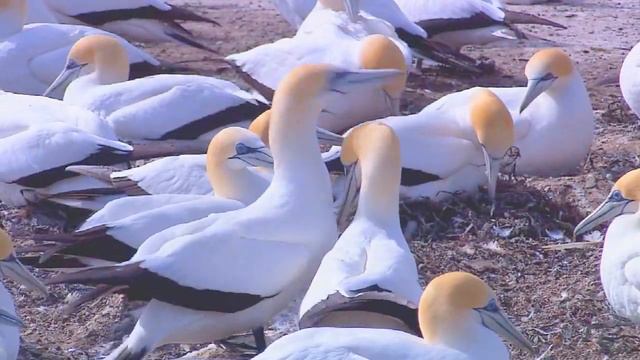 Проверка! Кто знает от куда пишите в коментах. И уберите 3D смотреть онлайн