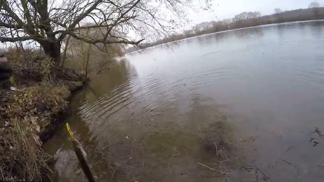 ЩУКА в НОЯБРЕ на СПИННИНГ. #рыбалка2022 #рыбалка #спиннинг #рыбалкаосенью #воблерынащуку #fishing